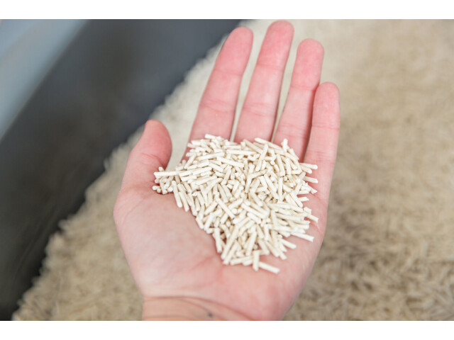 Asternut Tofu, 2.5 kg, 40250