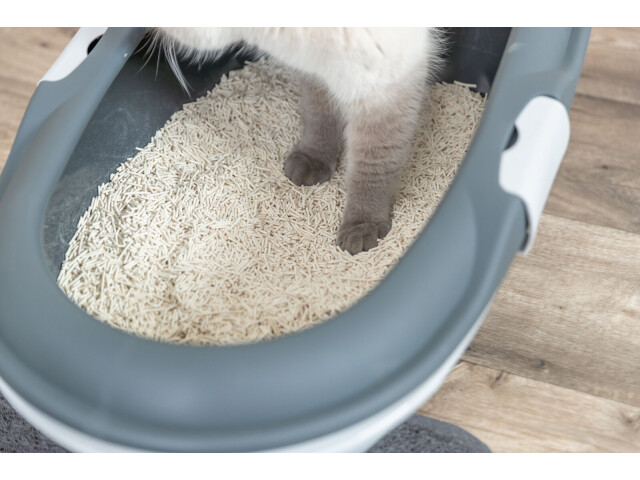 Asternut Tofu, 2.5 kg, 40250