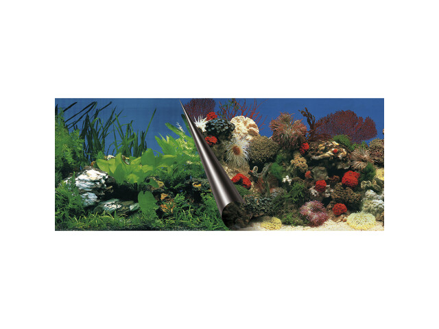 Fundal Dublu Pentru Acvariu, Piatra Si Coral, 60x30 cm 241/108833
