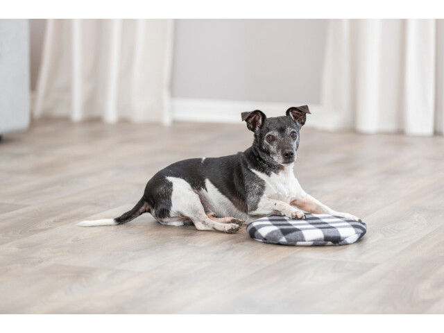 Perna Termica Incalzibila la Microunde, 26 cm, 28792