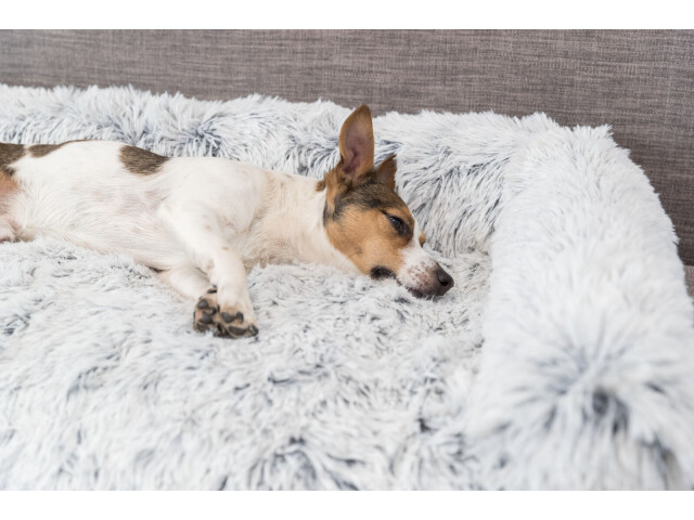 Pat Protectie Harvey, 90x90 cm, Alb/Negru, 38046