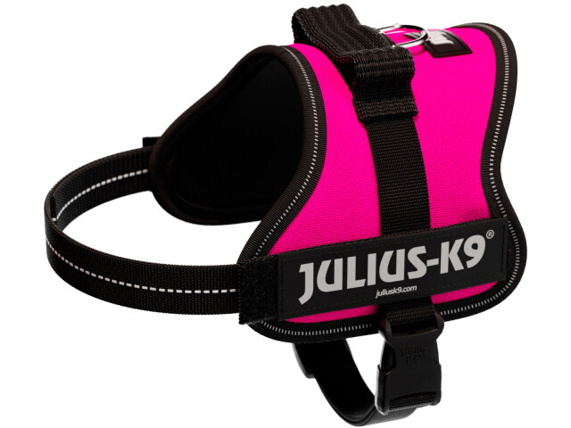 Ham Julius-K9 Mini-Mini/S 40-53 cm/22 mm Fuchsia(Mov) 150108