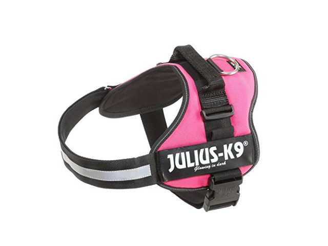 Ham Julius-K9 1 L 66-85 cm/50 mm Fuchsia 15048
