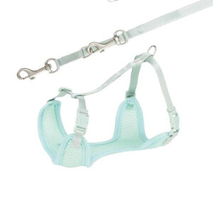 Ham Si Lesa, Soft, Pentru Caini Juniori, S-M: 26-34 cm/10 mm, 2.00 m, Verde Menta, 15565	