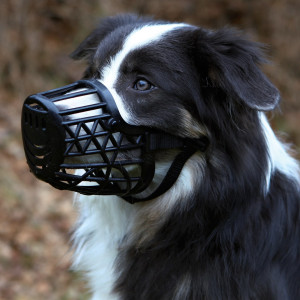 Botnita Plastic, L-XL: 35 cm, 17607