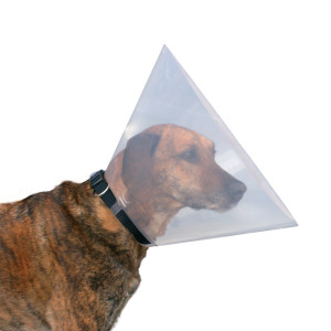 Guler Protector, Plastic, XS: 22-25 cm/7 cm, Transparent, 19480	