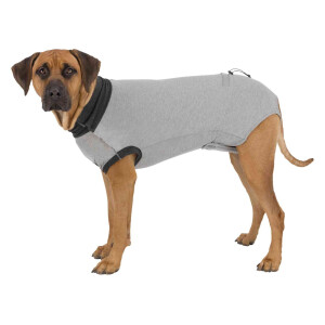 Body Protectie Pentru Caini, L-XL: 62 cm, Gri, 19538