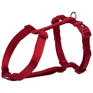Ham Premium H, M-L: 52-75 cm/20 mm, Rosu 203403