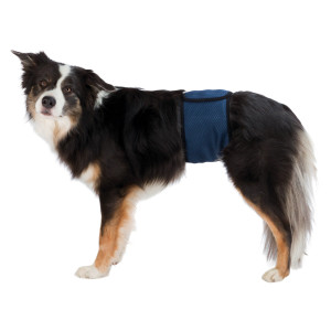 Banda (Incontinenta Urinara) Pentru Caini Masculi, L: 55-65 cm, Albastru, 23664	