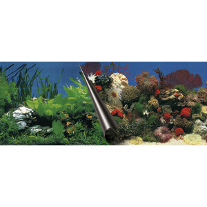 Fundal Dublu Pentru Acvariu, Piatra Si Coral, 60x30 cm 241/108833