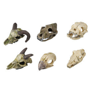 A(-15%) Decor Mini Craniu, 7-10 cm, Diverse Modele, L236/237878