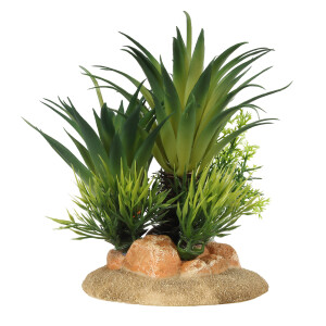 L(-12%)Decor Palmier Sago S - 13,5x10x16 cm 234/448823