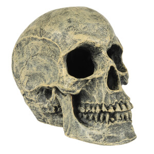 A(-15%) Decor Craniu, 16x10.5x13.2 cm, L234/449103