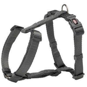Ham Premium H, XS-S: 30-44 cm/10 mm, Grafit, 203216