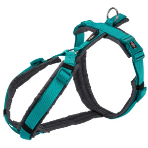 L(-22%)Ham Premium Trekking, M-L: 62-74 cm/25 mm, Ocean/Gri Grafit, 1997312
