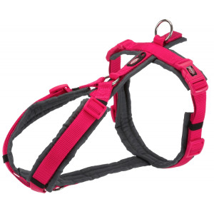 L(-22%)Ham Premium Trekking, L: 70-85 cm/25 mm, Fucsia/ Gri Grafit, 1997411