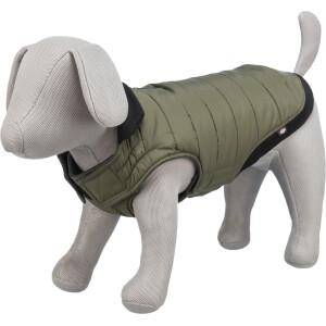 A(-27%) Hainuta Arlay, XXS: 21cm, Verde Inchis, 680301