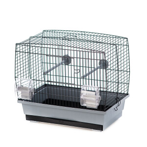 Colivie Natalia 1 Gri/Negru L493/051