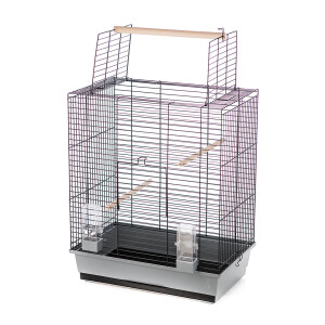 Colivie Dwelling Ara Gri/Negru L493/062