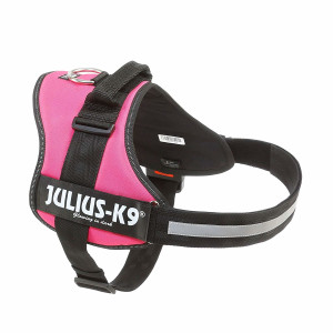 L(-22%)Ham Julius-K9 3 XL 82-118 cm/50 mm Fuchsia 15068