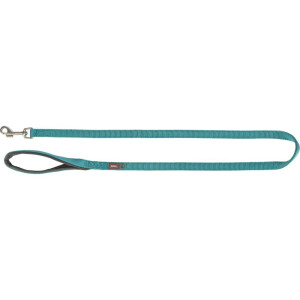 Lesa Premium, L-XL: 1.00 m/25 mm, Aqua, 200328