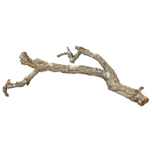 Decor Ramuri De Pluta, Tronchos Mix, 1 kg/2-10 cm/25-75 cm, 76409	