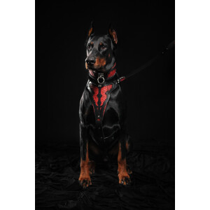 Zgarda Red Dragon, Piele Naturala, XL, Negru
