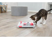 Jucarie Cat Activity, Brain Mover, 25 x 20 cm, 4596