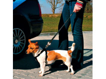 Centura De Siguranta Auto Pentru Caini, XS-S: 30-45 cm/20 mm, Negru, 12771	