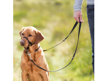 Botnita Pentru Dresaj, Top Trainer, S: 22 cm/35-42 cm, Negru, 13002