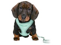 Ham Si Lesa, Soft, Pentru Caini Juniori, S-M: 26-34 cm/10 mm, 2.00 m, Verde Menta, 15565	