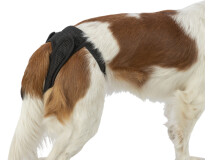 Chiloti de Protectie Confort, XL, 60 - 70 cm, Negru, 23436