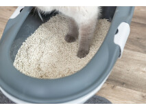 Asternut Tofu, 2.5 kg, 40250