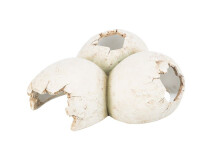 L(-23%)Decor Pentru Terariu, Pestera- Forma de Oua, 15x6x12cm 76326