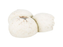 L(-23%)Decor Pentru Terariu, Pestera- Forma de Oua, 15x6x12cm 76326