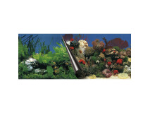 Fundal Dublu Pentru Acvariu, Piatra Si Coral, 60x30 cm 241/108833