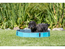 Piscina Pentru Caini, Plastic,80x20 cm, Petrol/Gri, 39481
