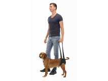 Ham Reabilitare Pentru Caini, M: 55-65 cm, Pana la 25 kg, Negru, 19406	