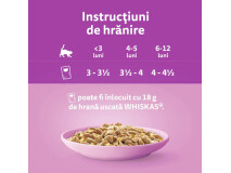 Hrana Umeda Pentru Pisici, Whiskas Junior, Pui In Aspic, 85 g