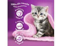 Hrana Umeda Pentru Pisici, Whiskas Junior, Pui In Aspic, 85 g