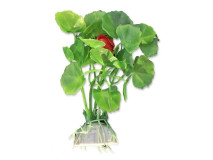 Planta Artificiala Pentru Acvariu, Blister, 10 cm, Verde, 1B23
