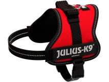 Ham Julius-K9 Mini-Mini/S 40-53 cm/22 mm Rosu 150103