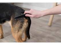 Pieptene Pentru Indepartare Purici/Praf, 15 cm, 2410	
