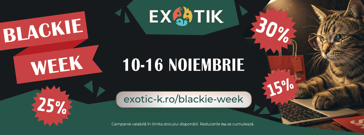 Blackie Week de Iarna