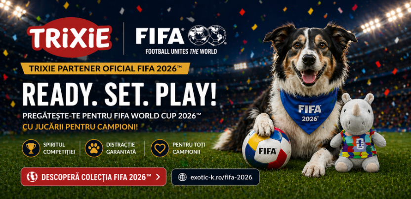 Fifa