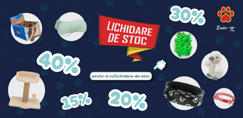 Lichidare de stoc